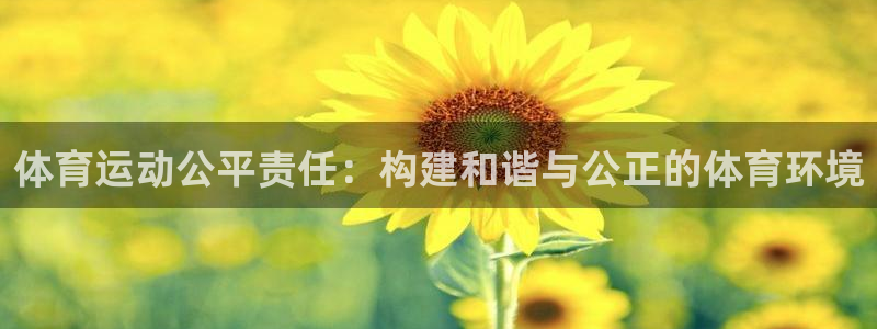 球速体育：体育运动公平责任：构建和谐与公正的体育环境