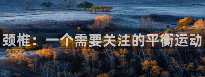 球速体育：颈椎：一个需要关注的平衡运动