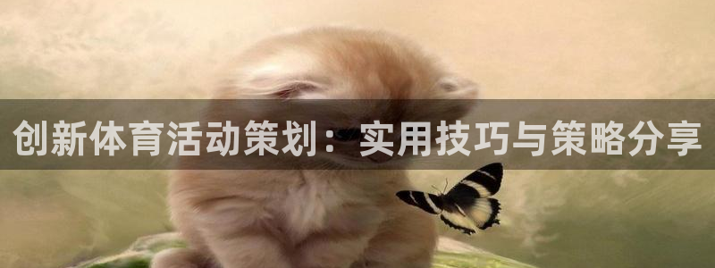 球速体育：创新体育活动策划：实用技巧与策略分享