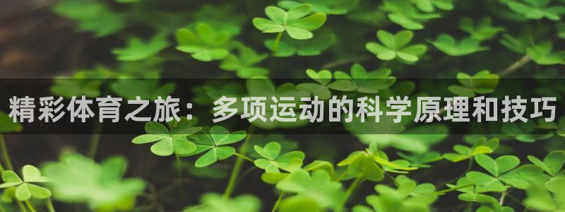 球速体育：精彩体育之旅：多项运动的科学原理和技巧