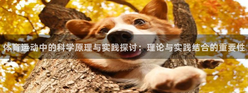 球速体育：体育运动中的科学原理与实践探讨：理论与实践结合的重要性
