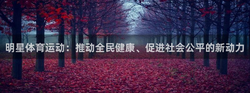 球速体育：明星体育运动：推动全民健康、促进社会公平的新动力