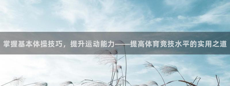 球速体育：掌握基本体操技巧，提升运动能力——提高体育竞技水平的实用之道