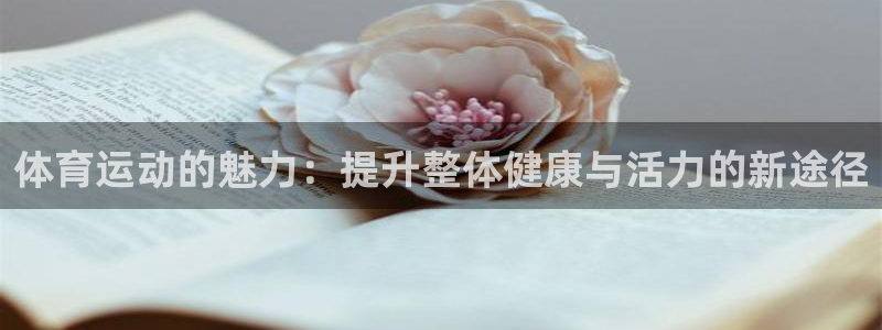 球速体育：体育运动的魅力：提升整体健康与活力的新途径