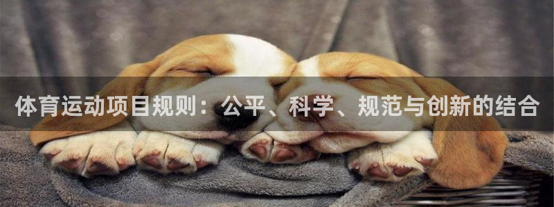 球速体育：体育运动项目规则：公平、科学、规范与创新的结合